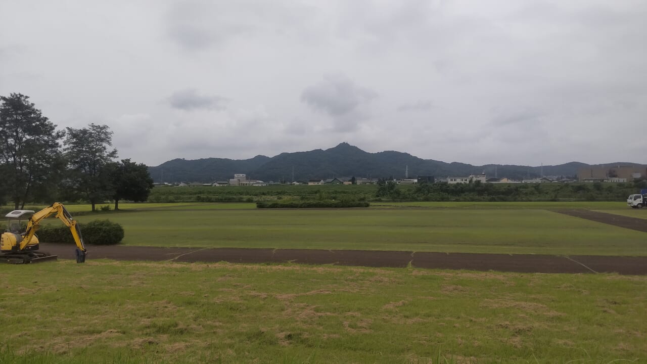 当日、この小梅琴平公園が会場に